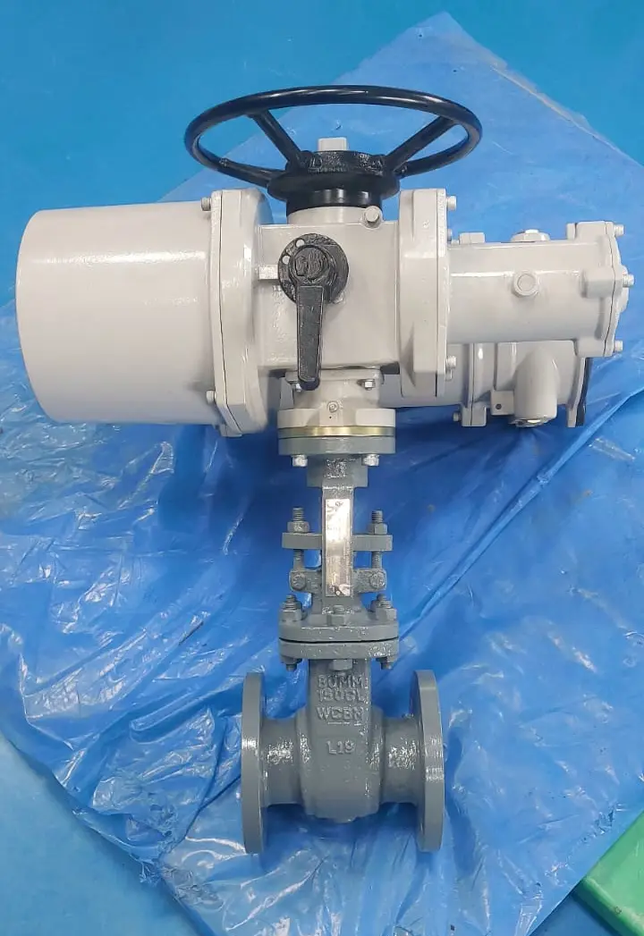 Electric Actuator with Gate Valve