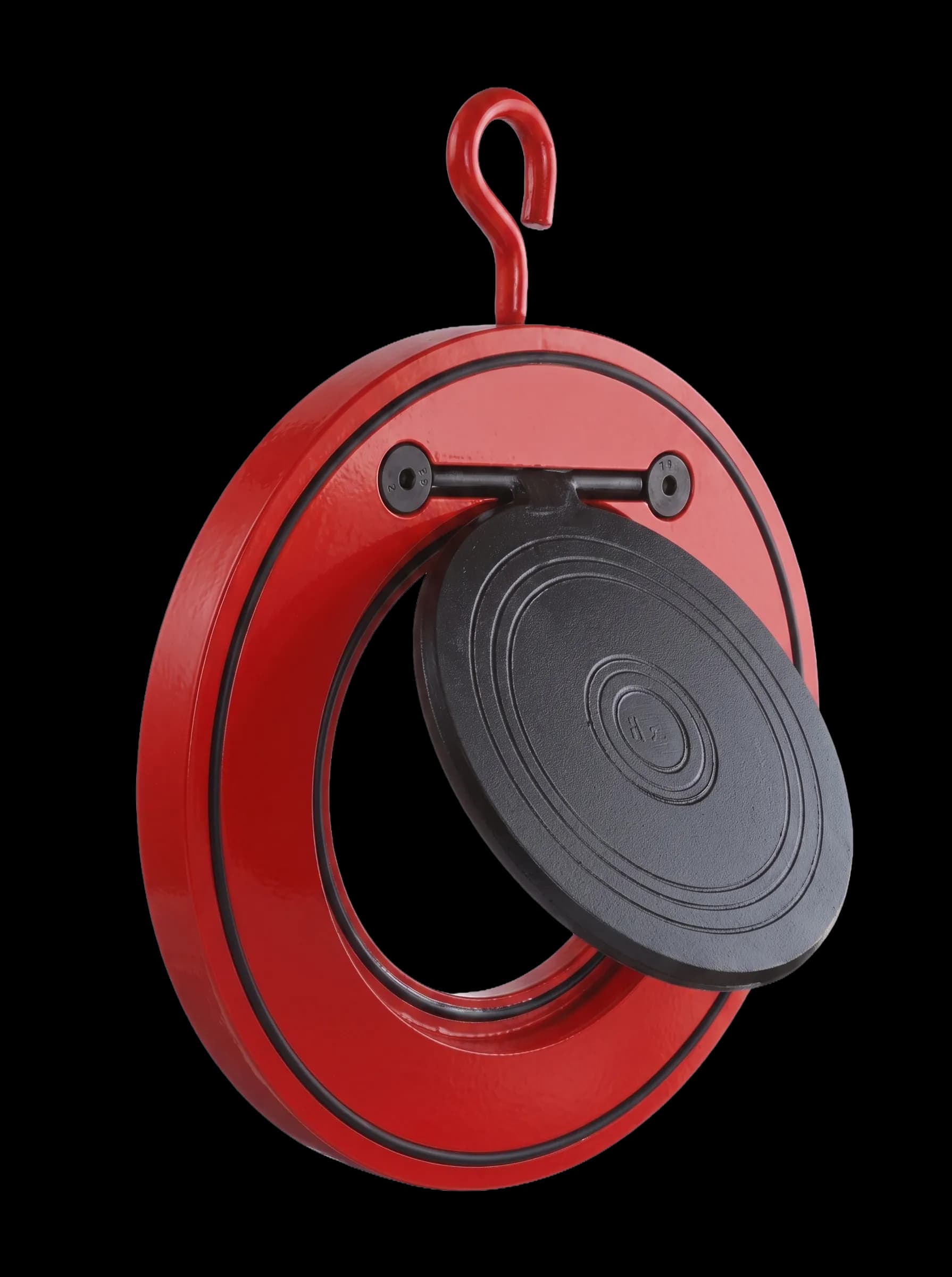 Swing Check Valve